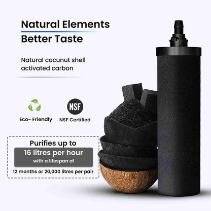 Phoenix Gravity Water Filter